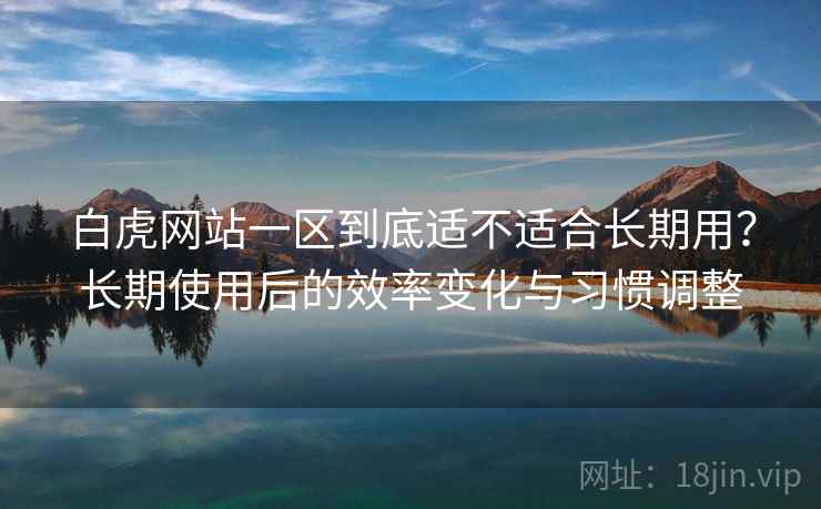 白虎网站一区到底适不适合长期用？长期使用后的效率变化与习惯调整  第2张