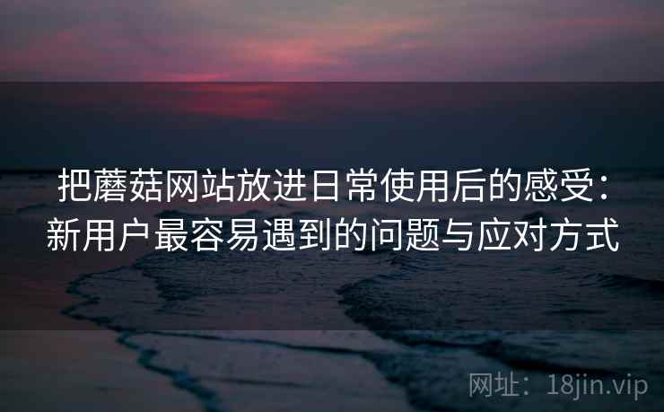 把蘑菇网站放进日常使用后的感受：新用户最容易遇到的问题与应对方式  第1张