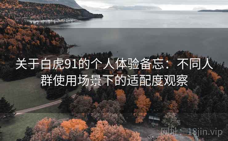 关于白虎91的个人体验备忘：不同人群使用场景下的适配度观察  第1张