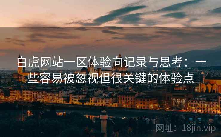 白虎网站一区体验向记录与思考：一些容易被忽视但很关键的体验点  第2张