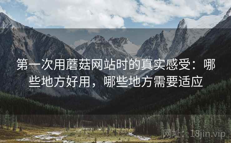 第一次用蘑菇网站时的真实感受：哪些地方好用，哪些地方需要适应  第1张