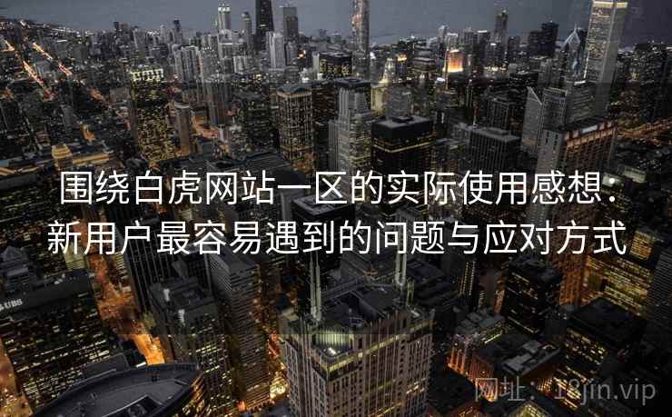 围绕白虎网站一区的实际使用感想：新用户最容易遇到的问题与应对方式  第1张