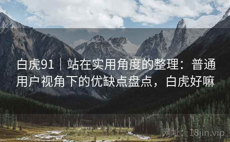 白虎91｜站在实用角度的整理：普通用户视角下的优缺点盘点，白虎好嘛  第1张