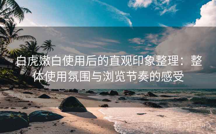 白虎嫩白使用后的直观印象整理：整体使用氛围与浏览节奏的感受  第2张