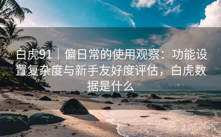 白虎91｜偏日常的使用观察：功能设置复杂度与新手友好度评估，白虎数据是什么  第1张
