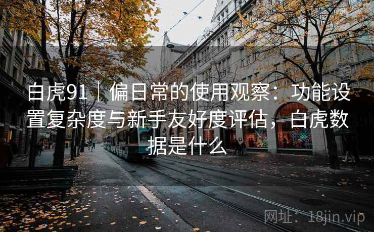 白虎91｜偏日常的使用观察：功能设置复杂度与新手友好度评估，白虎数据是什么  第2张