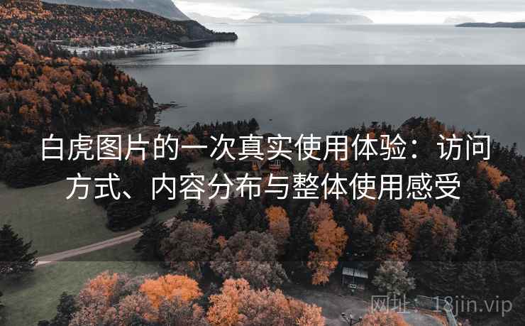 白虎图片的一次真实使用体验：访问方式、内容分布与整体使用感受  第2张