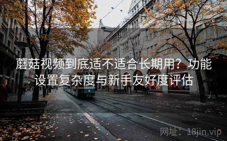 蘑菇视频到底适不适合长期用？功能设置复杂度与新手友好度评估  第1张