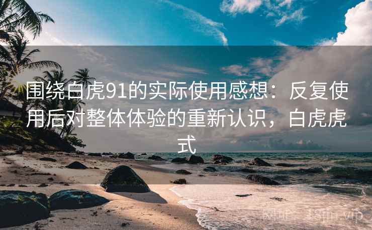 围绕白虎91的实际使用感想：反复使用后对整体体验的重新认识，白虎虎式  第1张