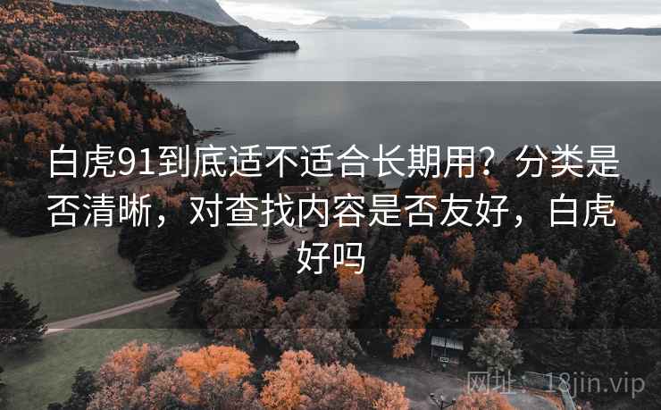 白虎91到底适不适合长期用？分类是否清晰，对查找内容是否友好，白虎好吗  第1张