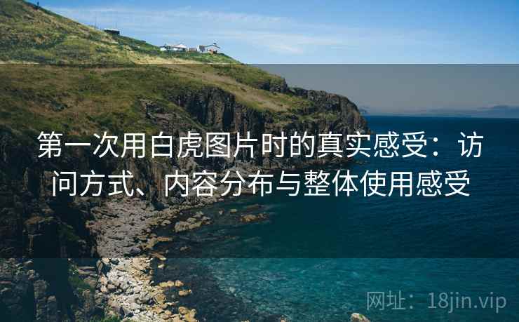 第一次用白虎图片时的真实感受:访问方式、内容分布与整体使用感受 第1张 第一次用白虎图片时的真实感受:访问方式、内容分布与整体使用感受 第1张