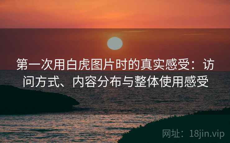 第一次用白虎图片时的真实感受:访问方式、内容分布与整体使用感受 第2张 第一次用白虎图片时的真实感受:访问方式、内容分布与整体使用感受 第2张