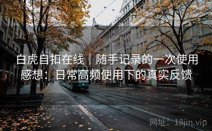 白虎自扣在线|随手记录的一次使用感想:日常高频使用下的真实反馈 第1张 白虎自扣在线|随手记录的一次使用感想:日常高频使用下的真实反馈 第1张